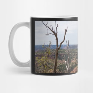 Canyon State Park Mug